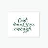 can't thank you enough