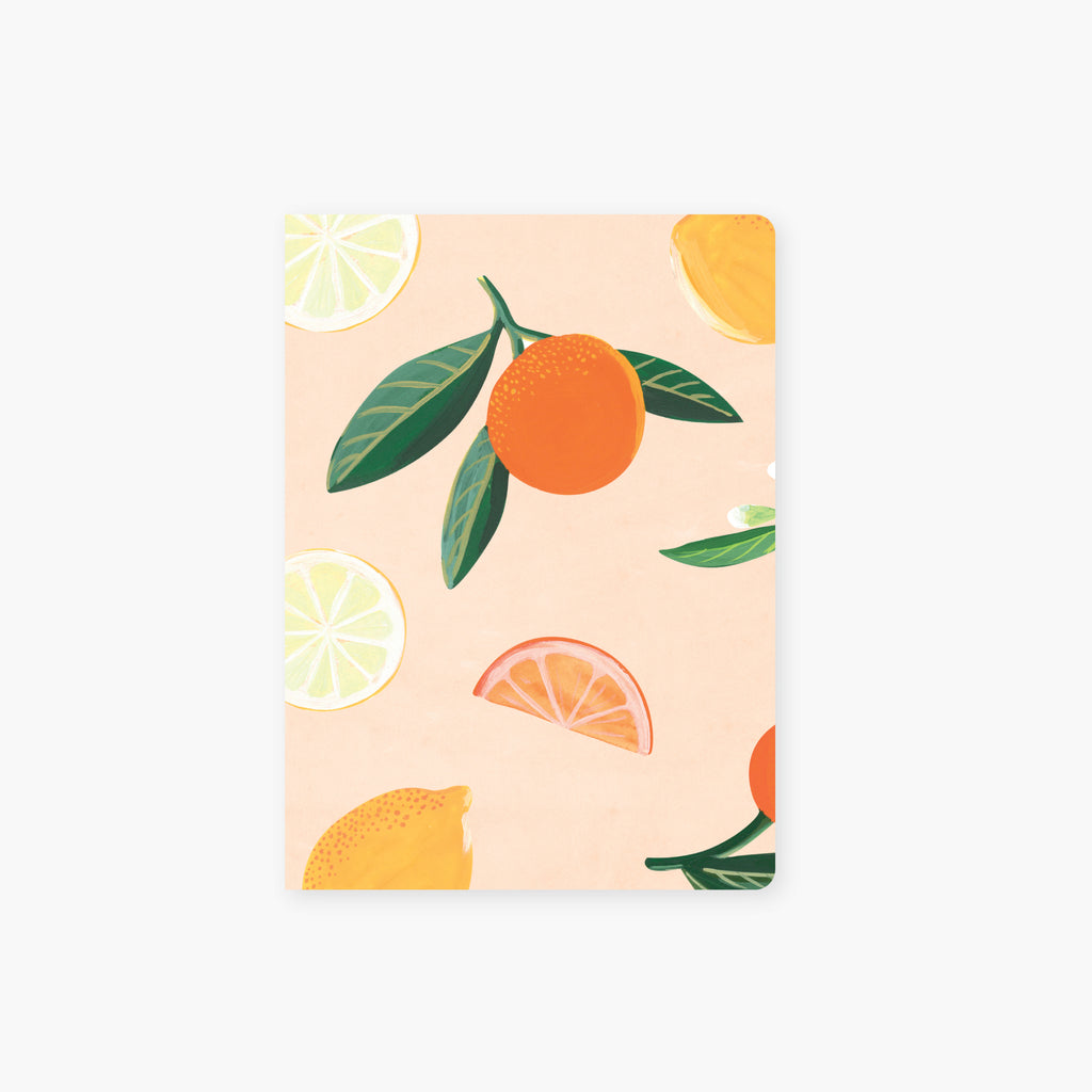 zesty citrus pocket journal